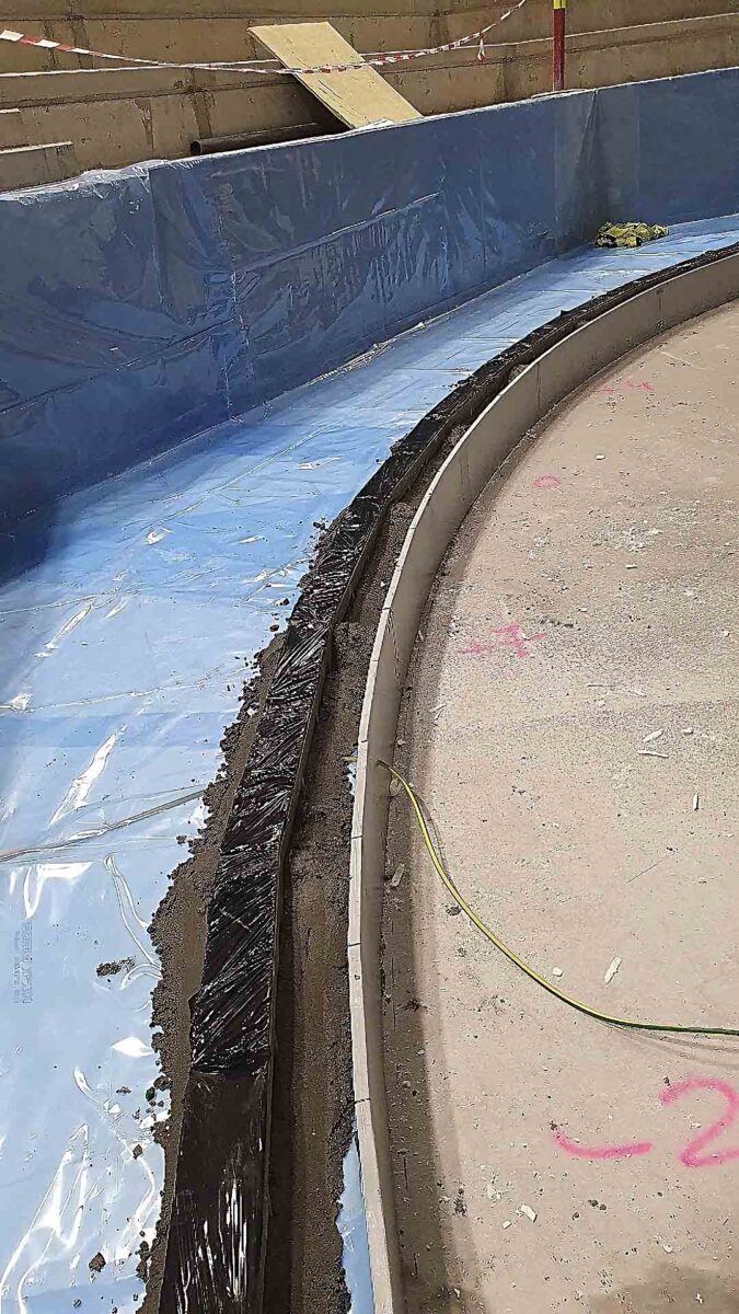 Risenga – Ishall (2021) — Risenga ishall 2021